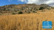 Agia Galini Kreta, Agia Galini: Grundstück mit Panoramablick auf das Libysche Meer zu verkaufen Grundstück kaufen